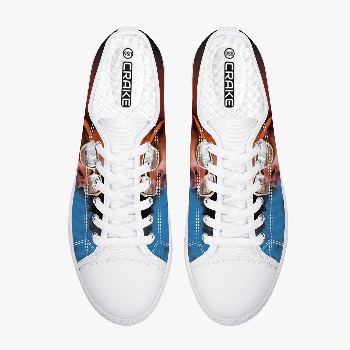 Crake Low Top Smoking Kills laced custom prints canvas shoes