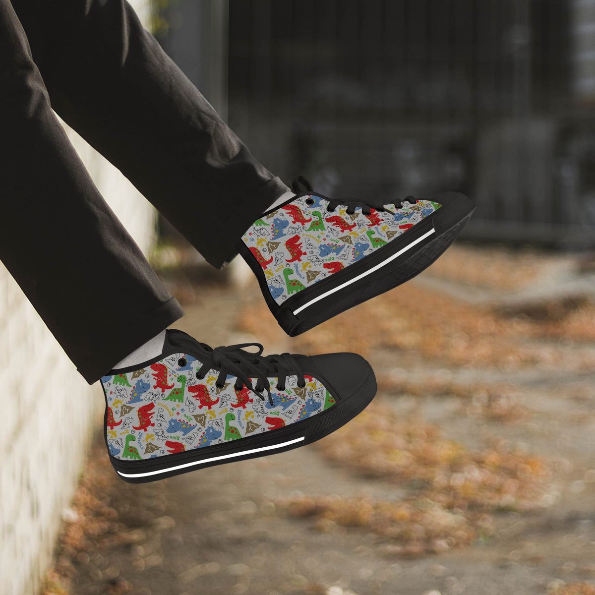 Crake High Top Little Dinosaurs 2 laced custom prints canvas shoes