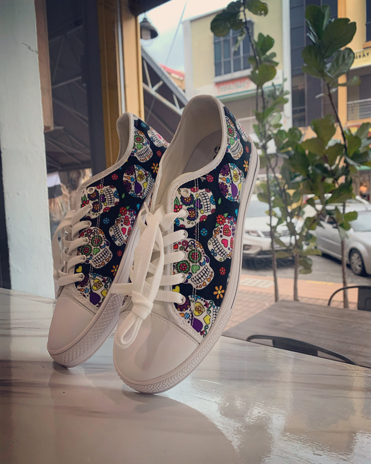 Crake Low Top Fancy Skulls laced custom prints canvas shoes