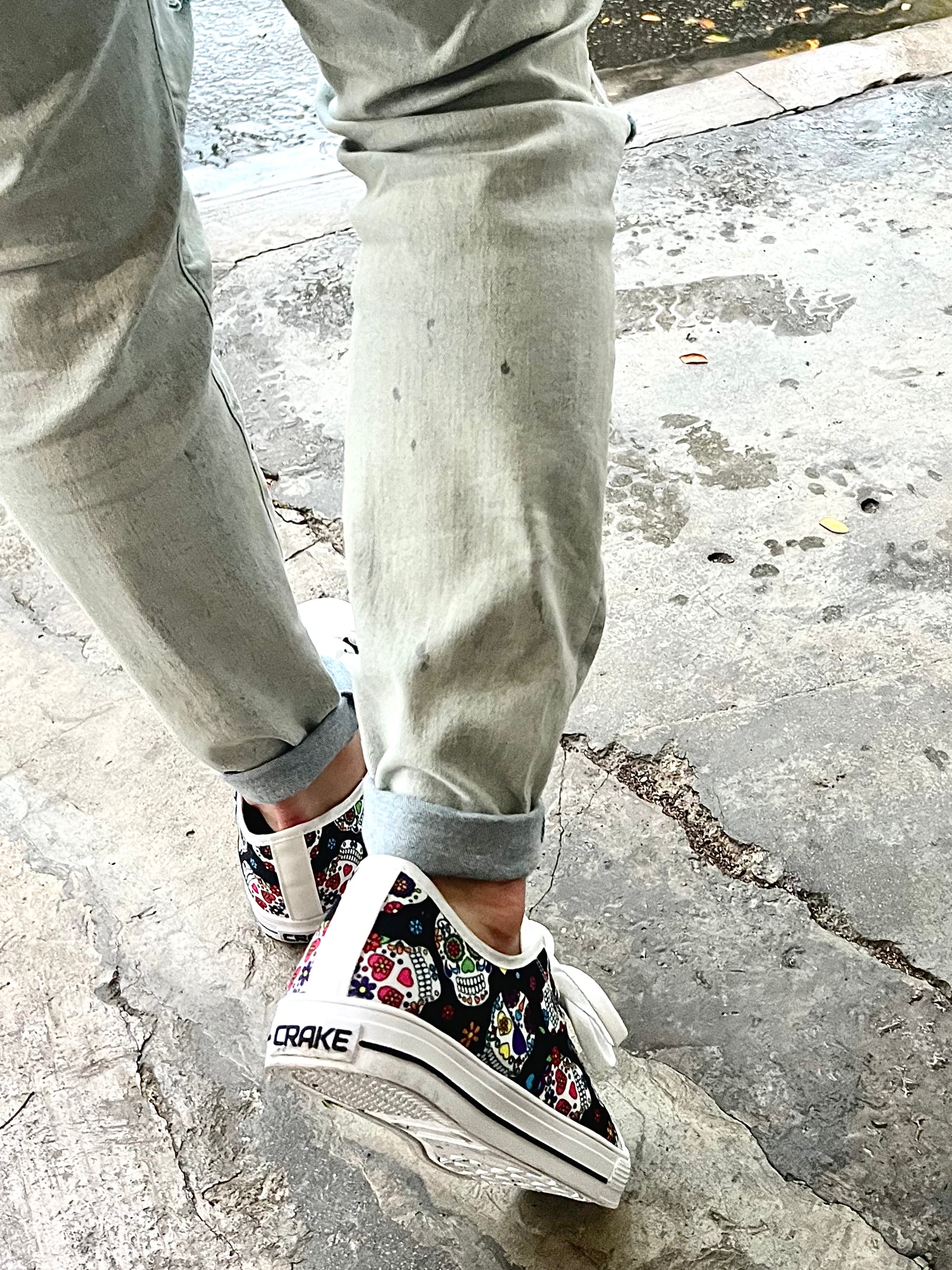 Crake Low Top Fancy Skulls laced custom prints canvas shoes